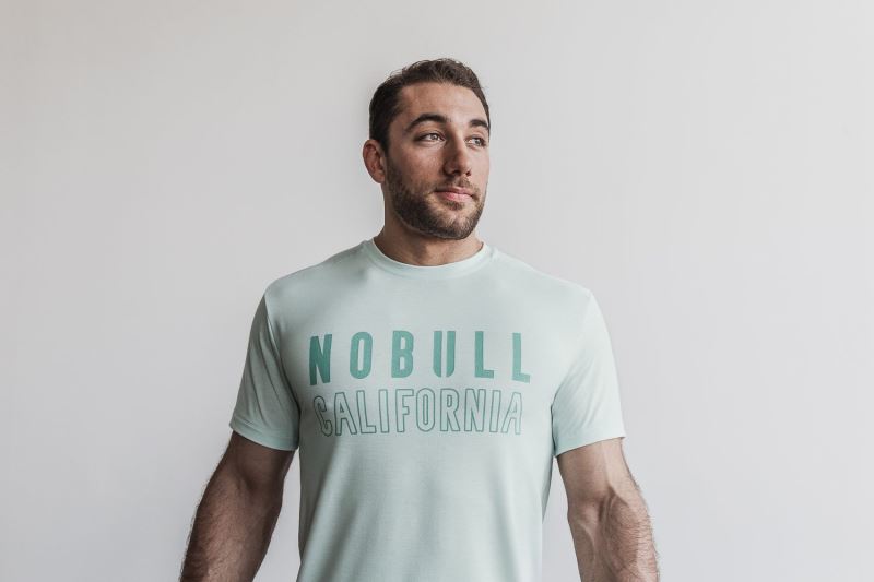 Nobull California Men's T Shirts Mint | 98631WUXG